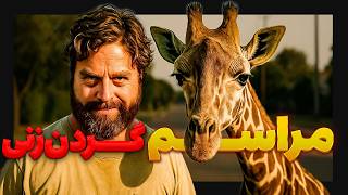 زرافه ها از مهربان ترین تا خشن ترین گیاه خوار!