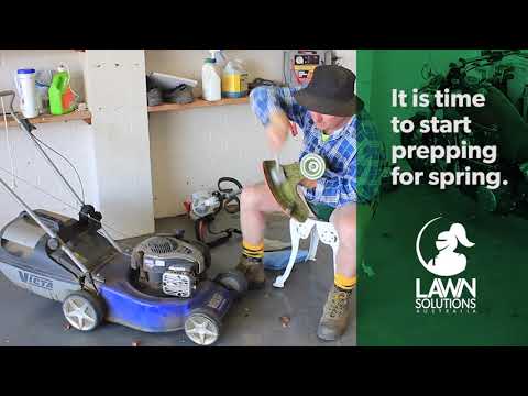 Prepping Your Lawn For Spring