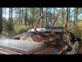 2 Bucks Down On A Chilly Day Deer Hunting With Dogs 2025 2026