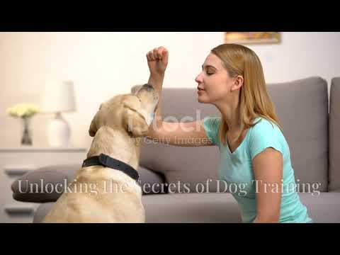 Ultimate Dog Care Guide: Tips & Tricks for Every Pet Parent!