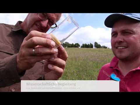 Diemeltaler Schmetterlings-Steig