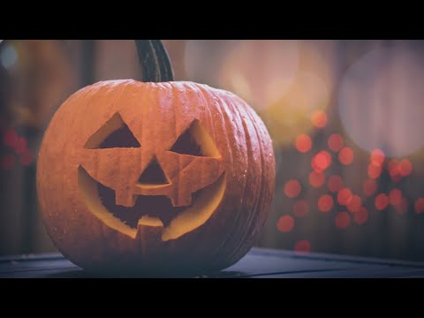 Lucky Dog Rescue - YouTube
