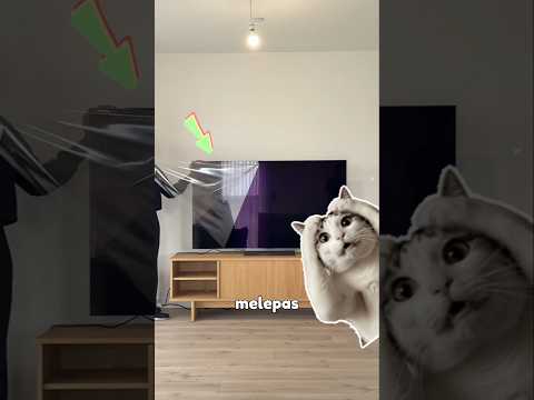 Hati-hati Melepas Lapisan Plastik Pada TV Baru! #informatif #faktaunik