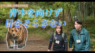 【鳥獣対策係職員が解説！】クマに遭遇しないために