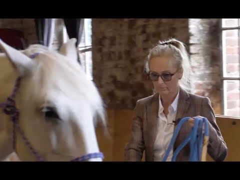 Friedfertige Kommunikation mit dem Pferd: Marie Massmann von NaturalClassic