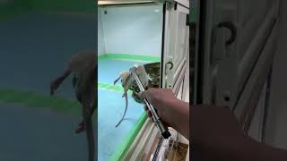 ハイブリアナコンダのごはん