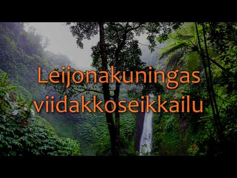 🌠 Lapsille - Leijonakuningas viidakkoseikkailu