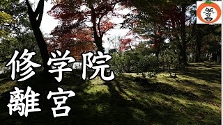 preview picture of video '紅葉 秋 の 修学院離宮 7 参観 京都府 京都市 左京区 Shugakuin Imperial Villa in Kyoto  【 うろうろ近畿 Travel Japan 】'
