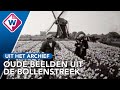 De Bollenstreek in andere tijden: terug naar de jaren '30 en '40 - OMROEP WEST
