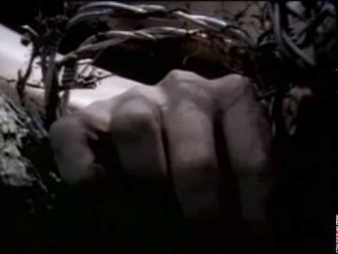 Carcass - No Love Lost