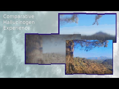 Comparative and Combination Experience - 3 Main Hallucinogenic Drug Classes