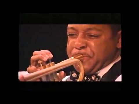 Black and Tan Fantasy JLCO