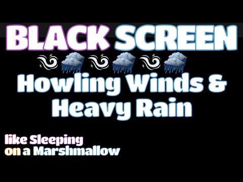 Get a GREAT Night's Sleep with the Sound of Howling Winds and a Thunderstorm | BLACK SCREEN!