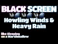 Get A GREAT Night S Sleep With The Sound Of Howling Winds And A Thunderstorm BLACK SCREEN