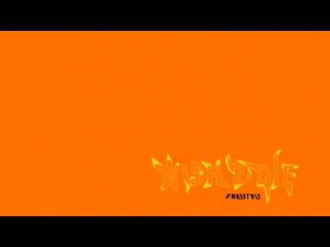 TALHA ANJUM - Wish 2 Die  Freestyle ( ft savage x shareh ) Lyrics Video Song