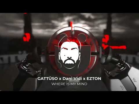 GATTÜSO, Dani Vidi, EZTON - Where is my Mind