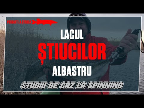 Lacul stiucilor albastru - Un pescuit pe incinta de la Holbina Trei Bibani