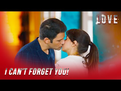 Love - Hakan Wants to Reunite with Şebnem! - Special Section