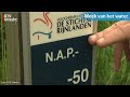Wat doet Utrecht al wel in het opvangen van water na hevige regenval?  [RTV Utrecht]