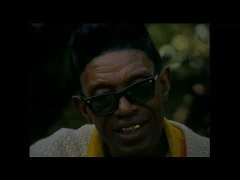 Lightnin Hopkins & Billy Bizor .