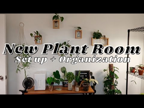 Setting Up My New Plant Room | organizing, mini greenhouse, propagation station situation