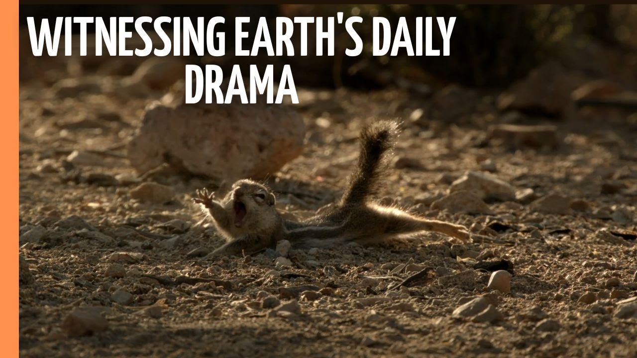 From Dawn to Dusk - Witnessing Earth's Daily Drama | Full Documentary