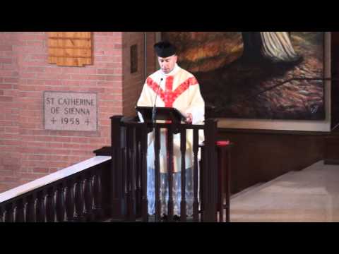 Homilia del dia 7-8-11