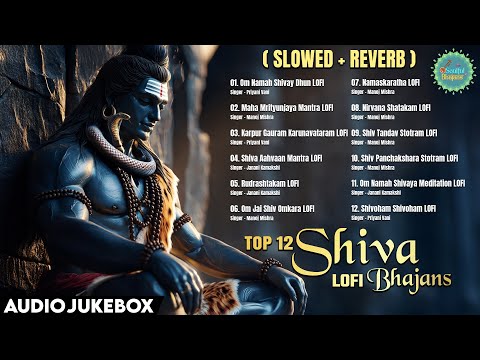 Top 12 Shiva LOFI Bhajans | Om Namah Shivay Dhun | Mahamrityunjaya Mantra | Om Jai Shiv Omkara aarti