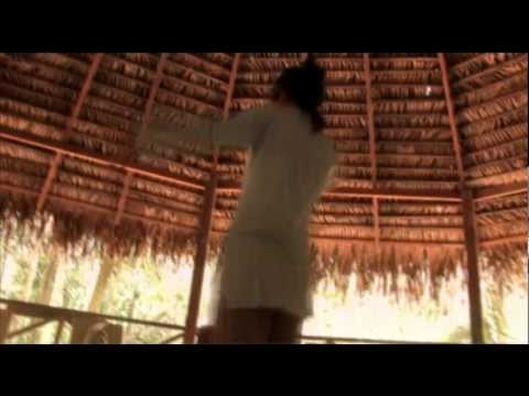 Living with Spirits: 10 Days in the Jungle with Ayahuasca