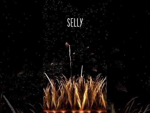 HAPPY BIRTHDAY SELLY !