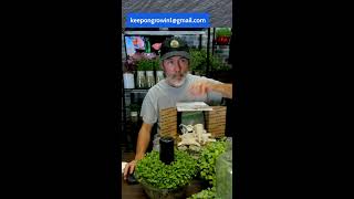 How bout Some Seeds?
