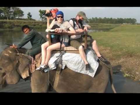 Читван: сафари на слонах