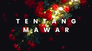 Download lagu MOANLESS - TENTANG MAWAR (  Audio ) mp3