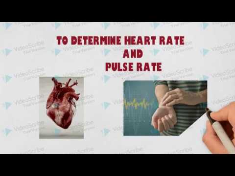 HEART RATE AND PULSE RATE  Estimation | Heart Rate Measurement || Monitoring of Heart & Pulse Rate