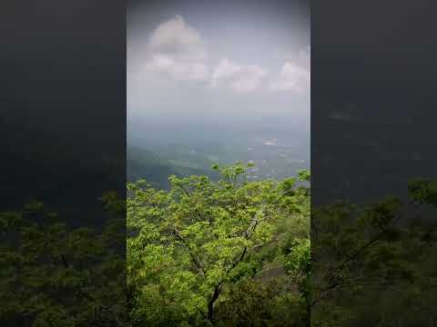 Nature..💚🕊️#trending#lovely#Noofaspeace