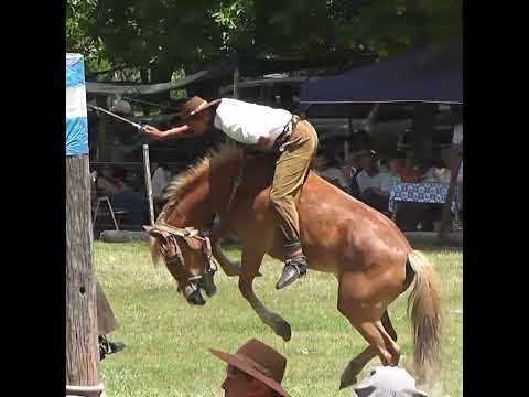 Monta en clina CUERO contra CUERO en Monte de Los Indios Tabossi Entre Rios