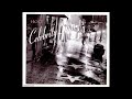 Hole - Celebrity Skin