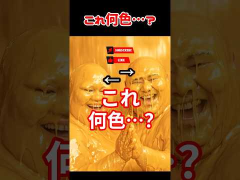 これは何色ですか？ #ai #ネタ #shorts