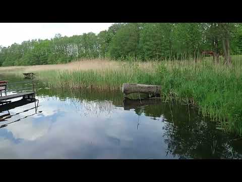 OSTOJA DOMKI - CAMPING - POLE NAMIOTOWE JEZIORO KOŁOMĄĆ ZAPRASZAMY