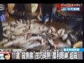 11歲殺魚弟 小小年紀眼神超殺