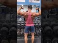 physique update post back day workout - 238lbs