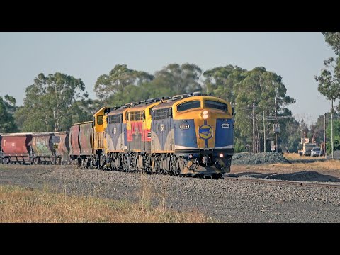 A VINTAGE 1980s Victorian Railway Scene in 2023 with The SSR Broad Gauge grain.