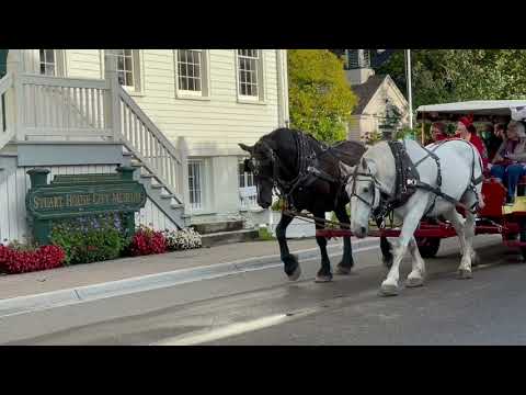 Touring by horse taxi on Mackinac Island