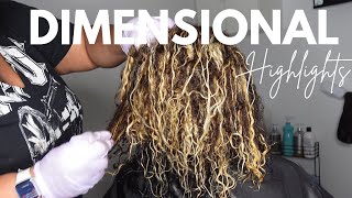 Mind-Blowing How To Do Dimensional Highlights! | Trendy Tutorial!"