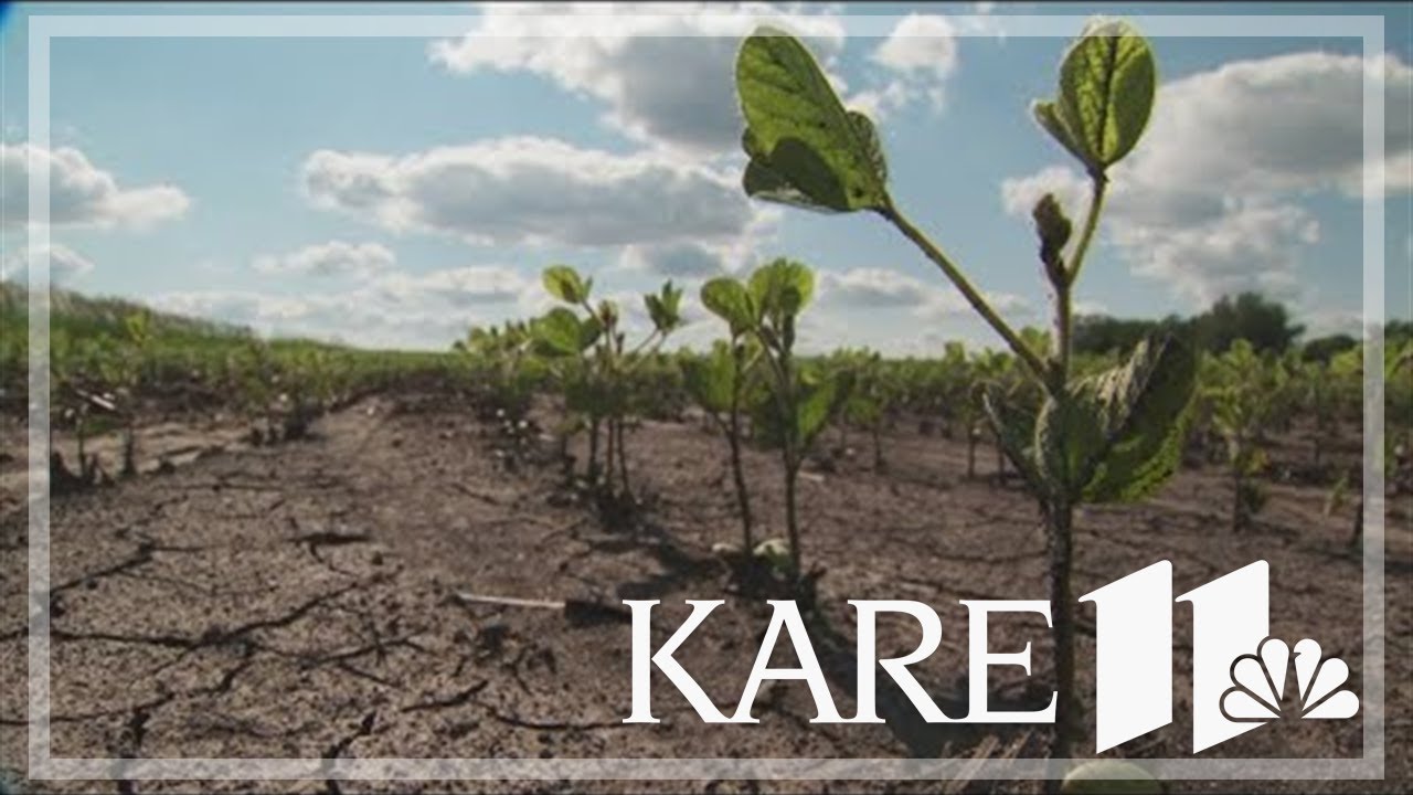 Here's what to know about Trump's proposed tariffs