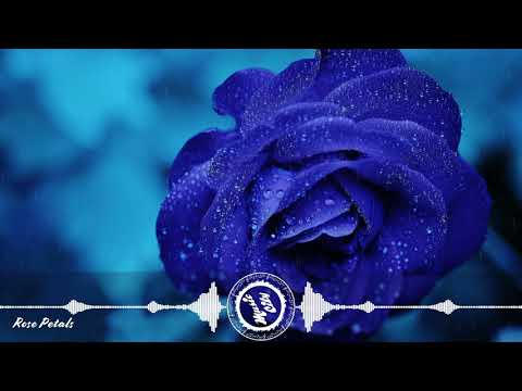 Revel Day feat. R.A.D. - Rose Petals