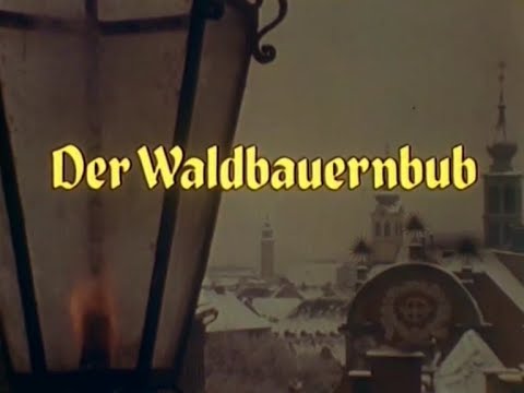 PETER ROSEGGER - Der Waldbauernbub (Weihnacht in der Waldheimat)