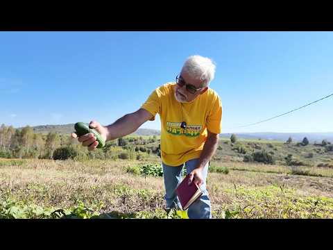 Вперед, товарищи! На дачу! Выпуск от 22.09.26