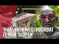Beeld van Gandhi beklad met rode verf