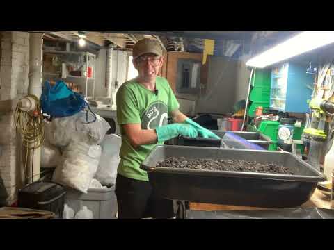 How I reset my breeder bins with minimal disturbance